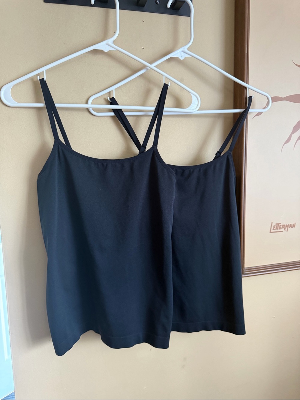 Carole Hochman bra camisole tops set of 2